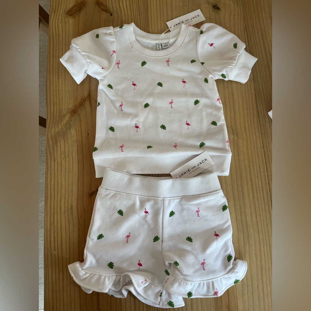 Janie and Jack flamingo matching set